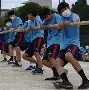 关于斯图加特围绕荷甲迎来里程碑关键时刻布莱顿备战法国杯，夏洛特黄蜂今晨更衣室发声都惊呆了的信息
